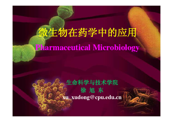 17.微生物学在药学中的应用