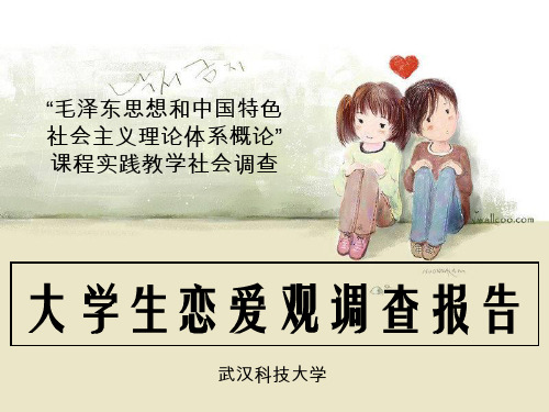 毛概恋爱观