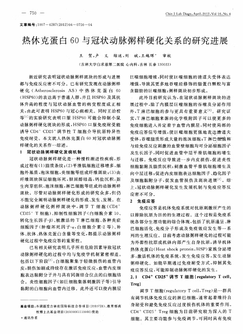 热休克蛋白60与冠状动脉粥样硬化关系的研究进展