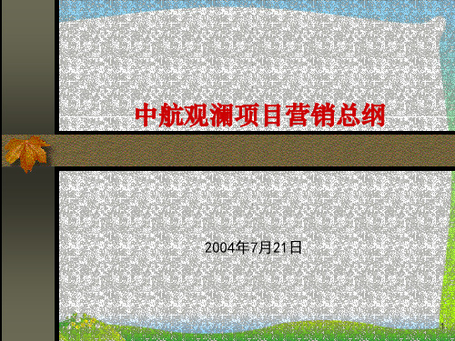 某地产项目营销总纲