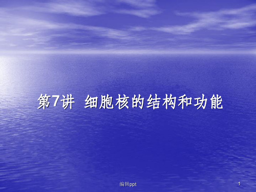 高考生物一轮复习第7讲细胞核的结构和功能