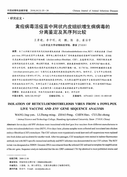 禽痘病毒活疫苗中网状内皮组织增生病病毒的分离鉴定及其序列比较