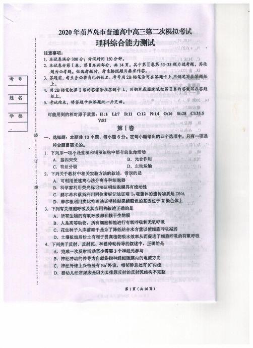 2020届辽宁省葫芦岛市高三下学期第二次模拟考试 理综 扫描版