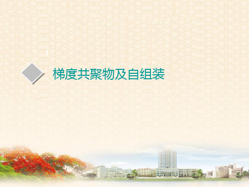 梯度共聚物