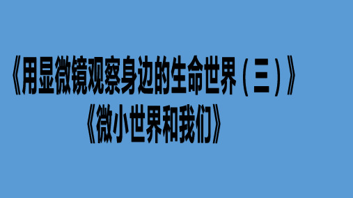 教科版六年级科学下册《用显微镜观察身边的生命世界(三)》、《微小世界和我们》练习PPT(带解析)