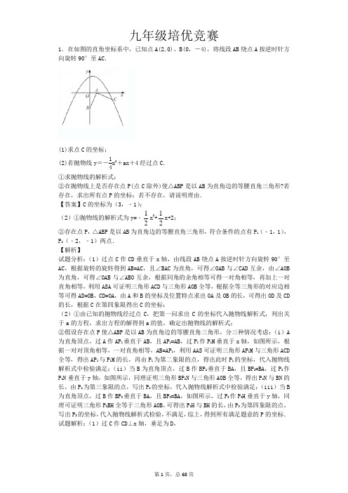 九年级数学培优题含详细答案