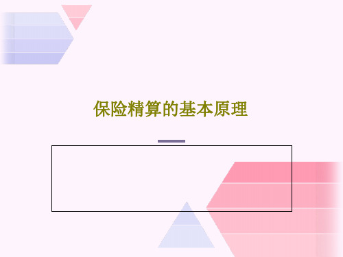 保险精算的基本原理19页PPT