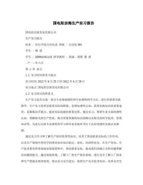 国电阳宗海生产实习报告