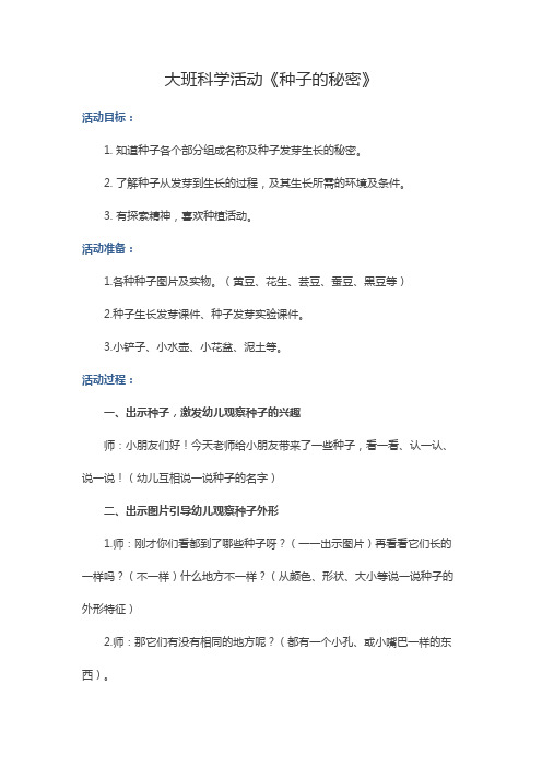 大班科学活动《种子的秘密》