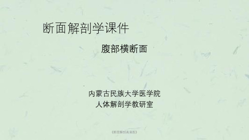 《断层解剖高清图》课件