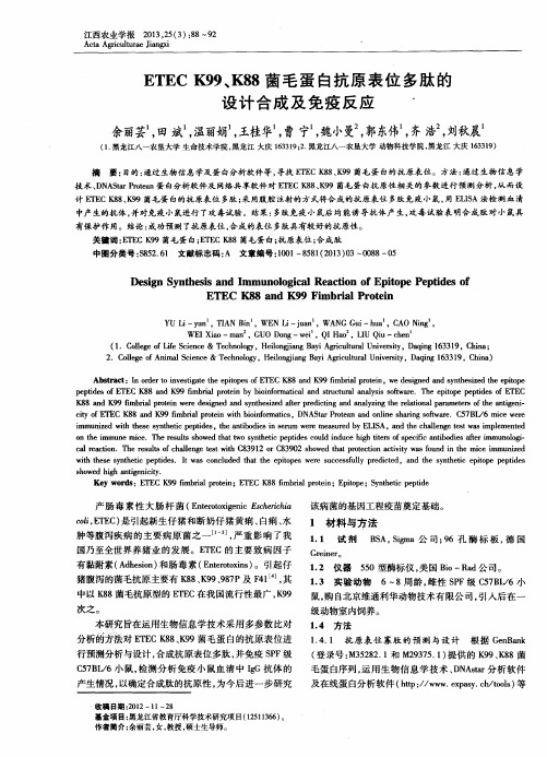 ETECK99、K88菌毛蛋白抗原表位多肽的设计合成及免疫反应