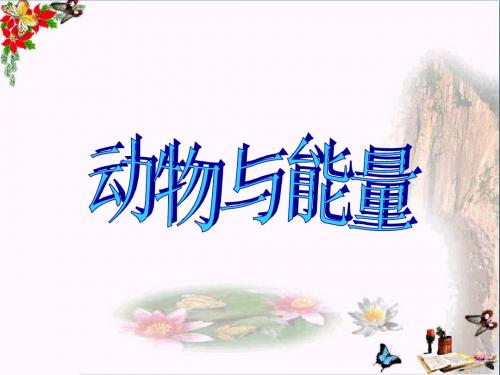 六年级科学上册第10课动物与能量 精选教学PPT课件2冀教版