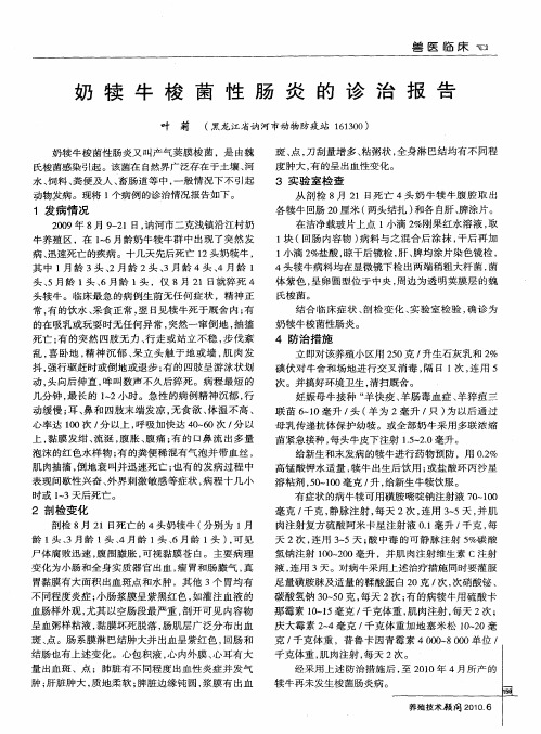 奶犊牛梭菌性肠炎的诊治报告