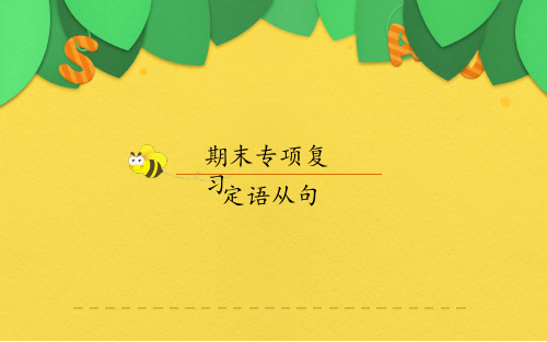 人教版英语九年级全一册期末专项复习(定语从句)