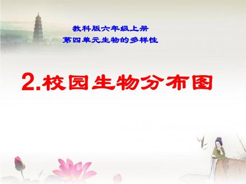 教科版科学六年级上册《校园生物分布图》ppt