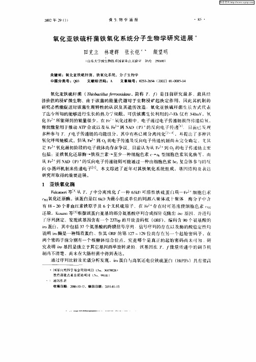 氧化亚铁硫杆菌铁氧化系统分子生物学研究进展