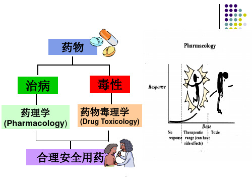 北京大学《药物毒理学》3药物毒理学-急性毒性和局部毒性-ya