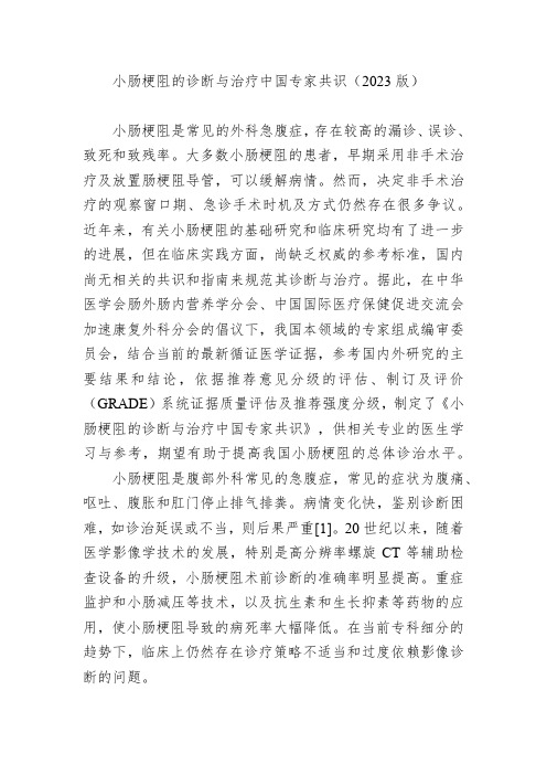 小肠梗阻的诊断与治疗中国专家共识