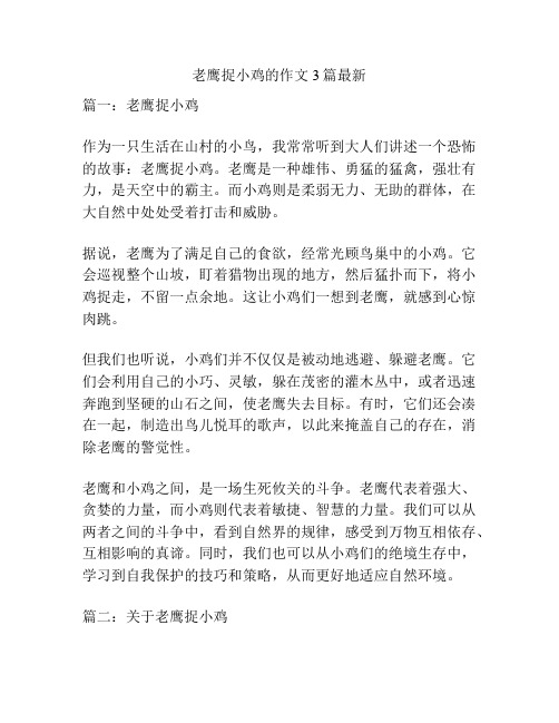 老鹰捉小鸡的作文3篇最新