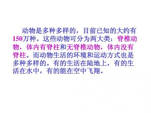 人教版新教材八年级生物第五单元第第一章第四节鱼课件
