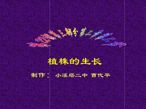 第二章 第二节 植株的生长