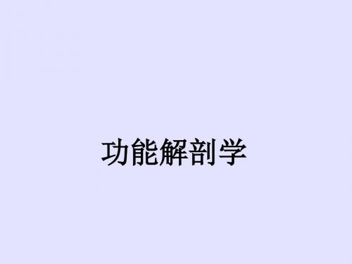 关节学总论课件
