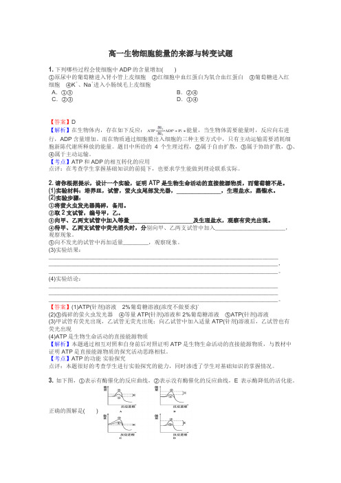 高一生物细胞能量的来源与转变试题
