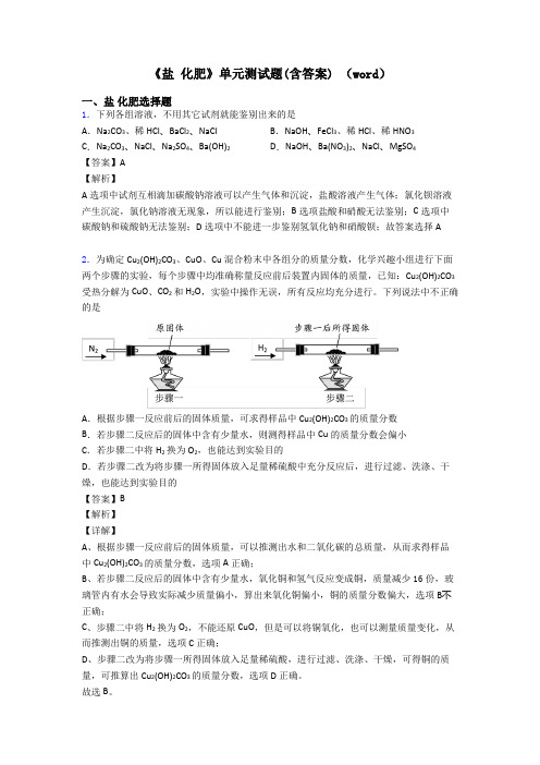 《盐 化肥》单元测试题(含答案) (word)