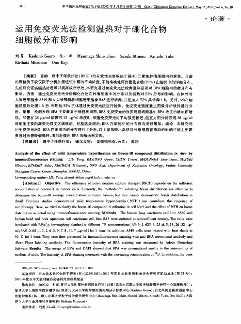 运用免疫荧光法检测温热对于硼化合物细胞微分布影响