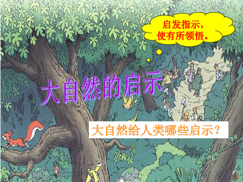 大自然的启示ppt课件(完美版)