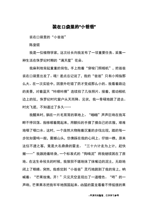 装在口袋里的“小爸爸”_小学五六年级想象
