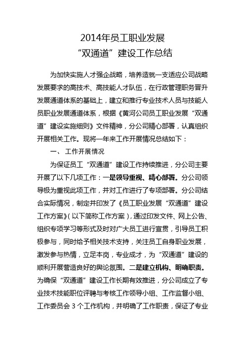 2014年度员工职业发展双通道建设工作总结