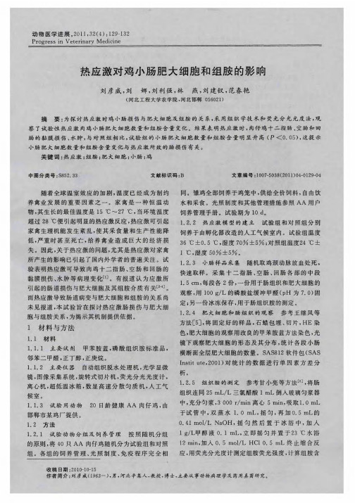 热应激对鸡小肠肥大细胞和组胺的影响