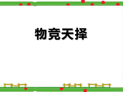 六年级下册科学课件-1.2 物竞天择(13)-湘科版