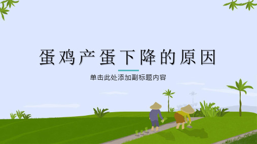 产蛋鸡产蛋下降的原因(鸡蛋产蛋下降原因)养鸡技术
