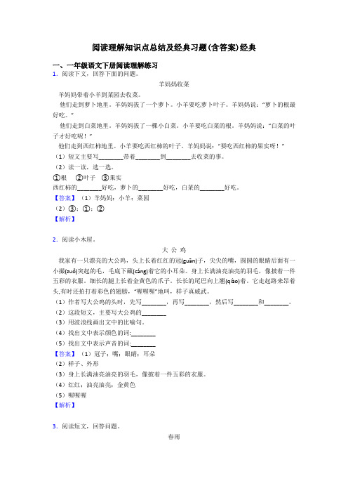 一年级阅读理解知识点总结及经典习题(含答案)经典