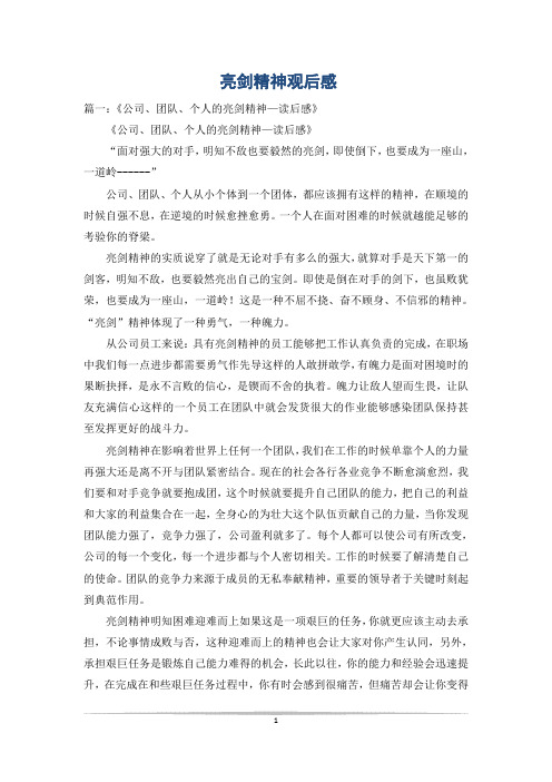 亮剑精神观后感