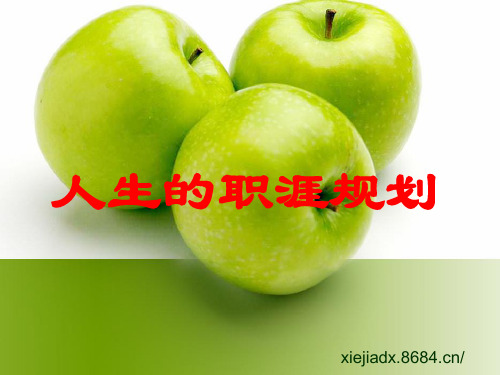 人生职业生涯规划PPT-逆转儿整理