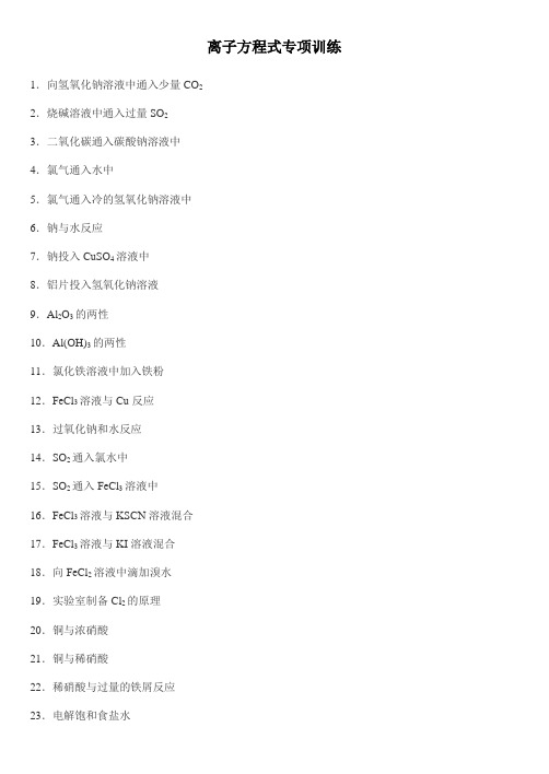 离子方程式专题训练
