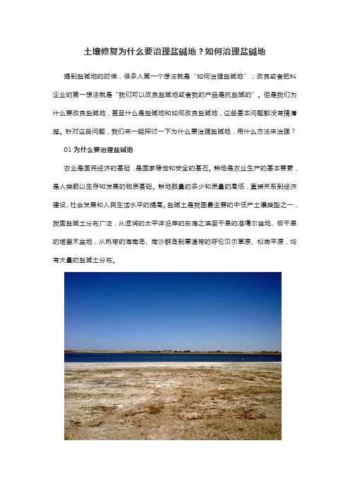 土壤修复为什么要治理盐碱地？如何治理盐碱地