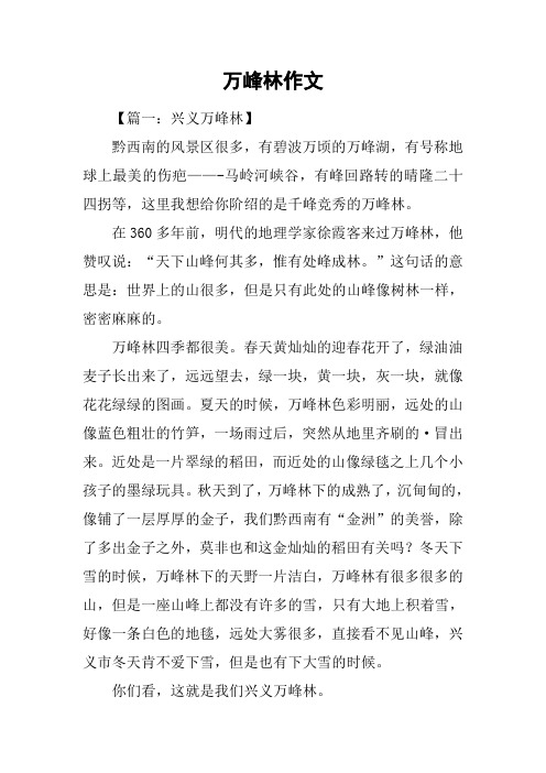 万峰林作文