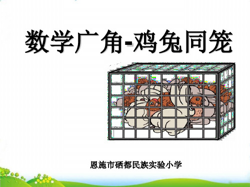 四年级下册数学PPT-数学广角-鸡兔同笼-人教版(19)(14张)-精品课件