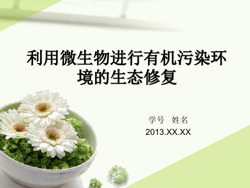 污染环境生态修复--利用微生物进行有机污染环境的生态修复详解