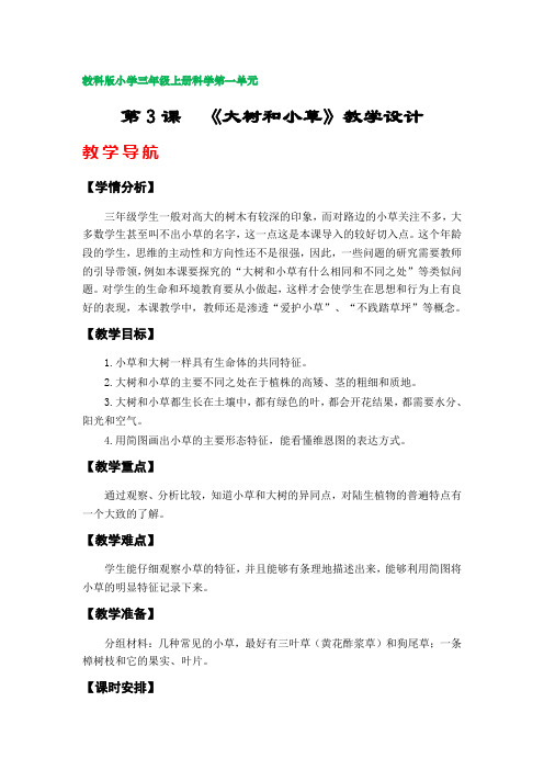 第3课  《大树和小草》教案(教科版小学三年级科学上册第一单元)