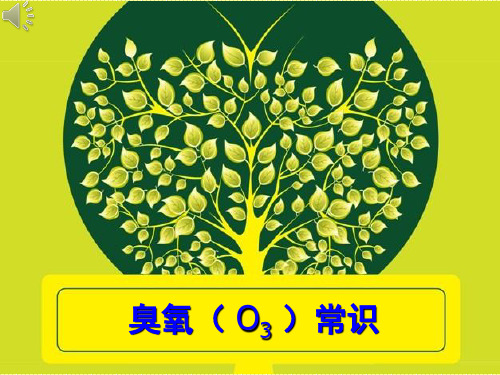 臭氧杀菌流程ppt课件