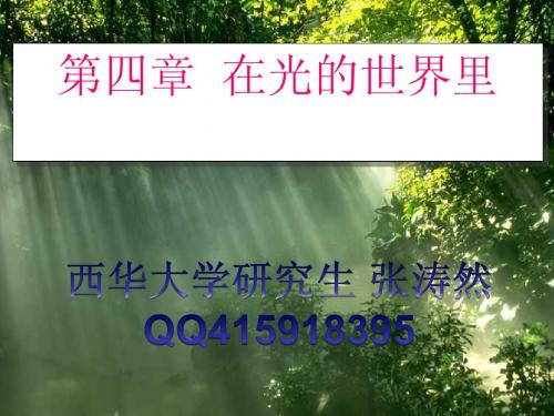 第四章 在光的世界里全套分节课件