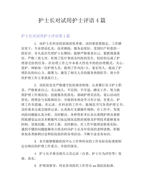 护士长对试用护士评语4篇