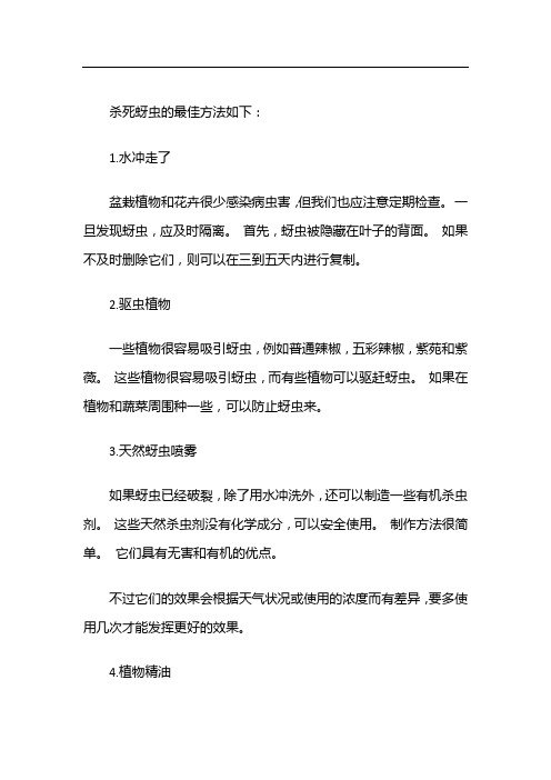 杀死蚜虫最好办法