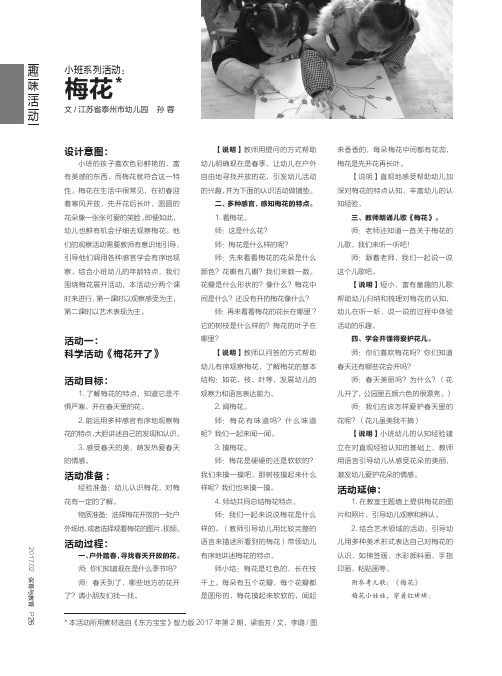 小班系列活动：梅花