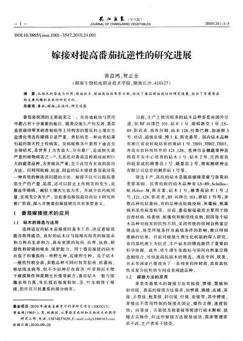 嫁接对提高番茄抗逆性的研究进展